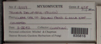 Image Associated With the Occurence